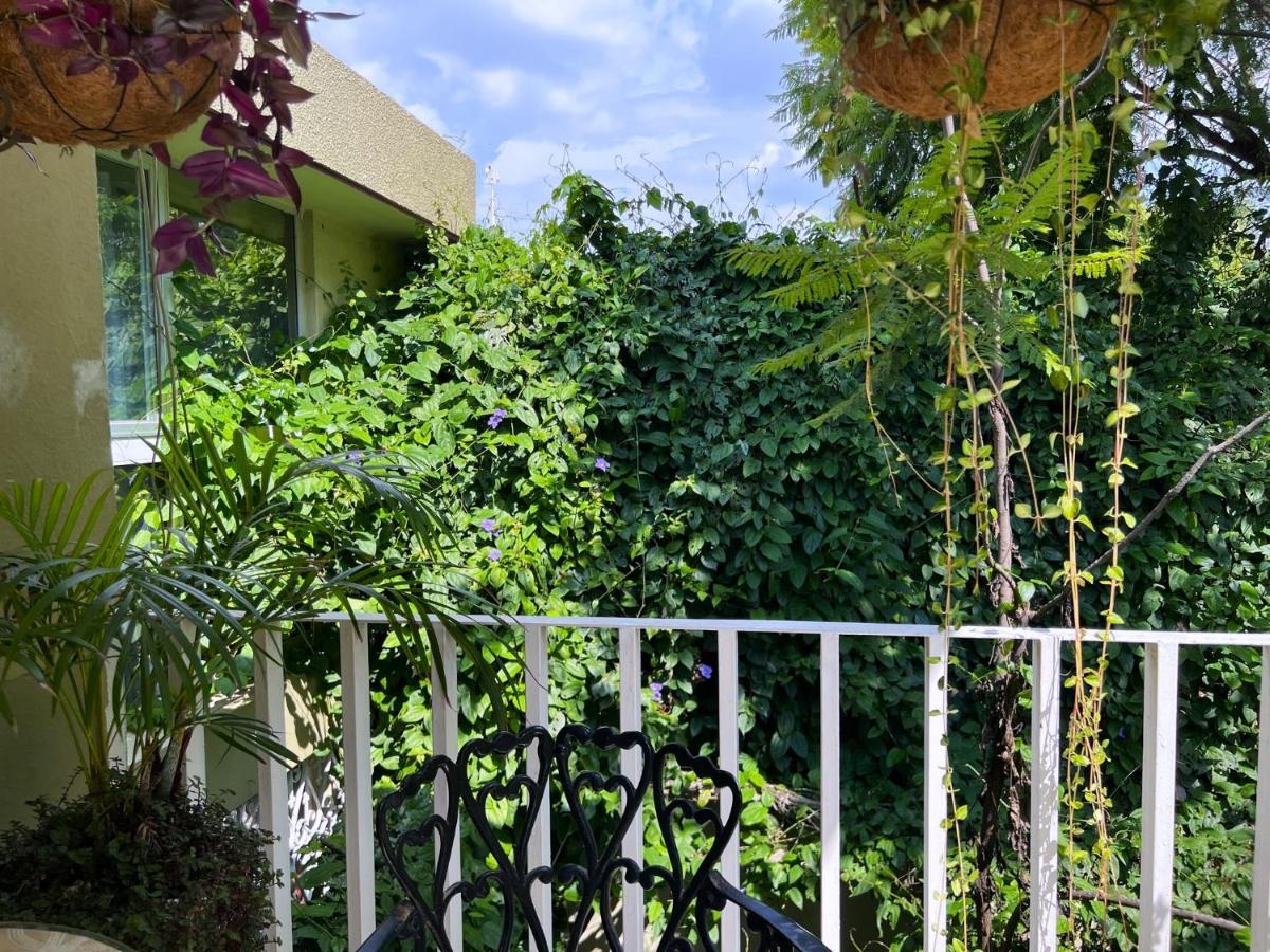 Dickinson Guest House, Guadalajara Expo Экстерьер фото