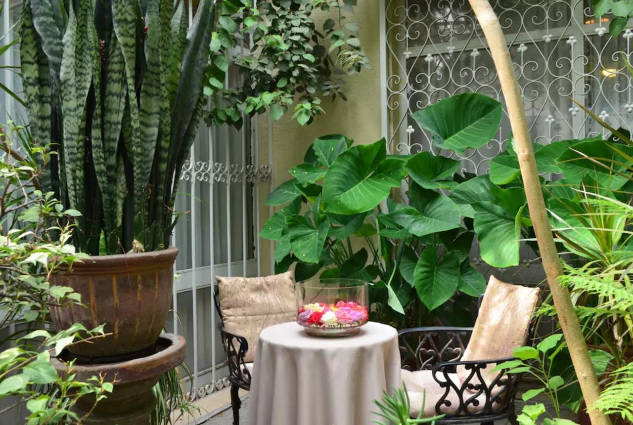 Dickinson Guest House, Guadalajara Expo Экстерьер фото